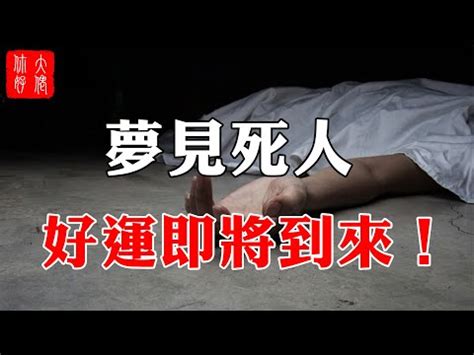 夢見鴿子死掉|夢見鳥